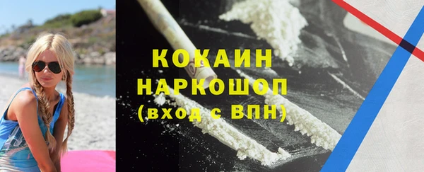 твердый Алзамай
