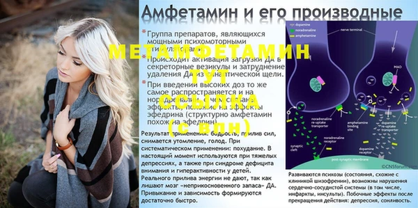 индика Алексеевка