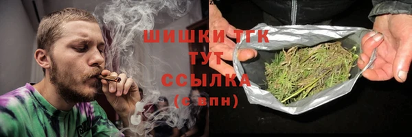 твердый Алзамай