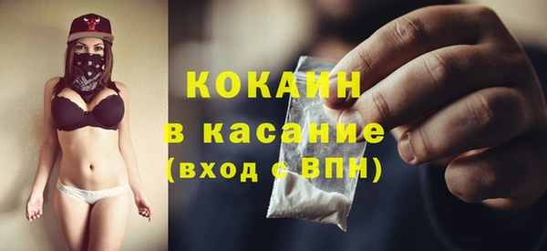 индика Алексеевка
