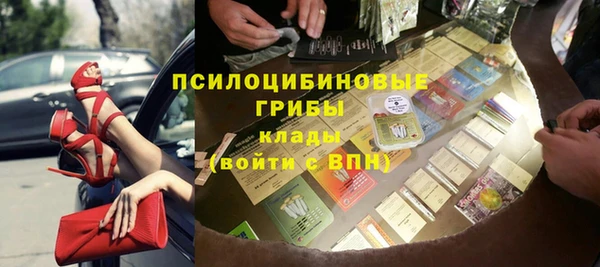 твердый Алзамай