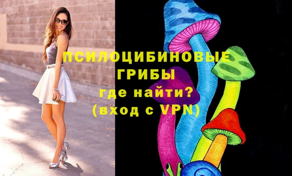 индика Алексеевка