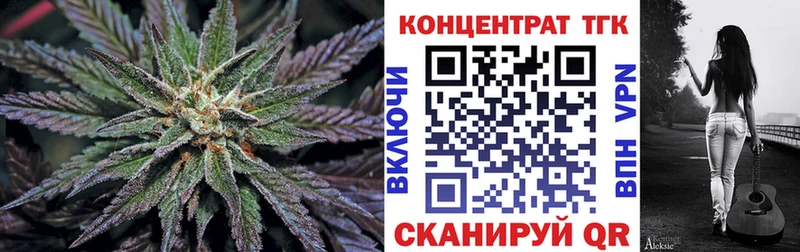 Купить где  Мостовской  ТГК концентрат 