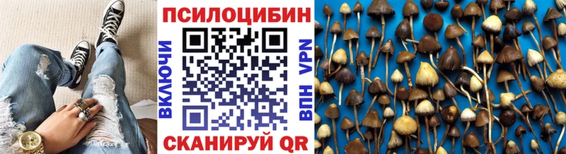 Купить где  Мостовской  Псилоцибиновые грибы мухоморы 